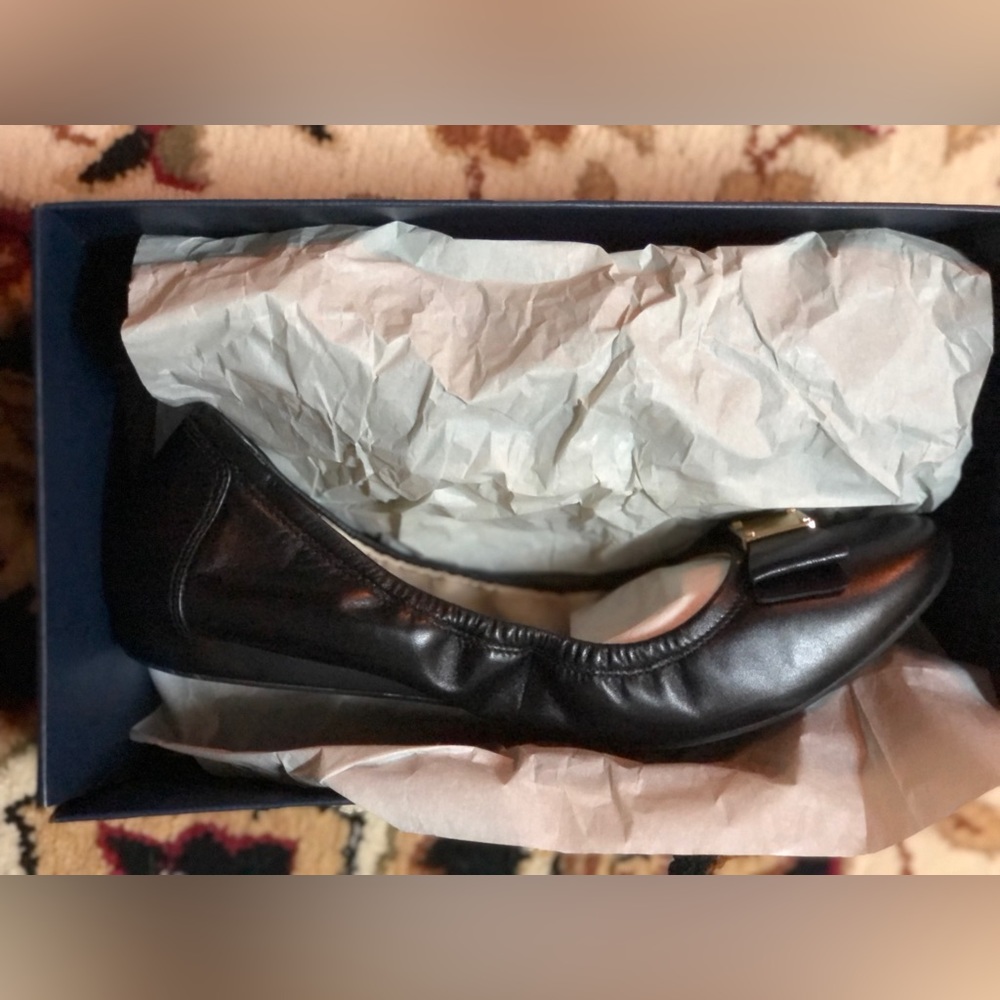 Never worn Gorgeous leather Cole Hahn ballet flat.